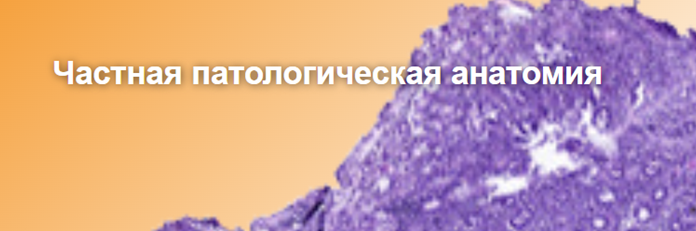 image_card